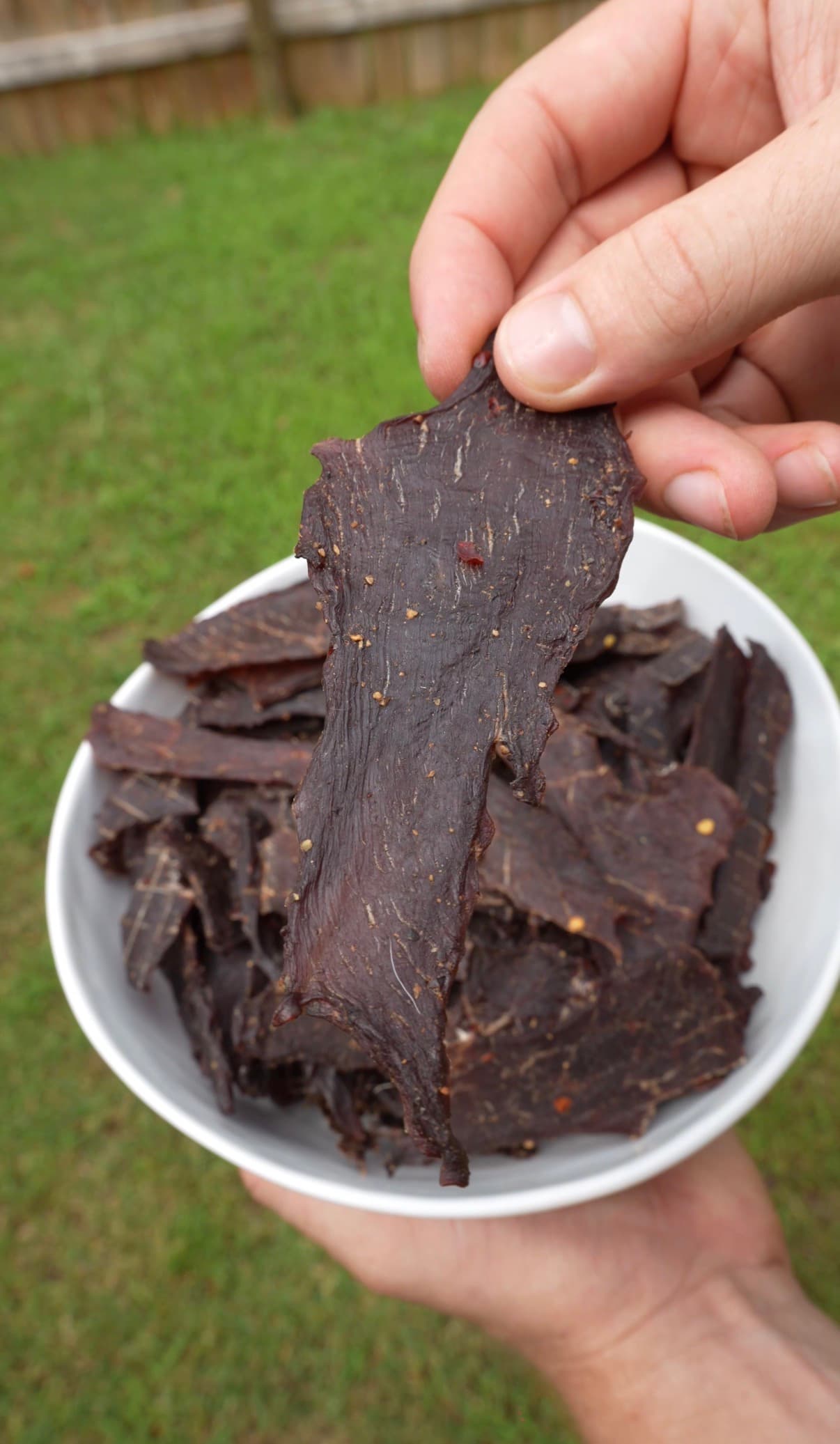 Venison Teriyaki Jerky